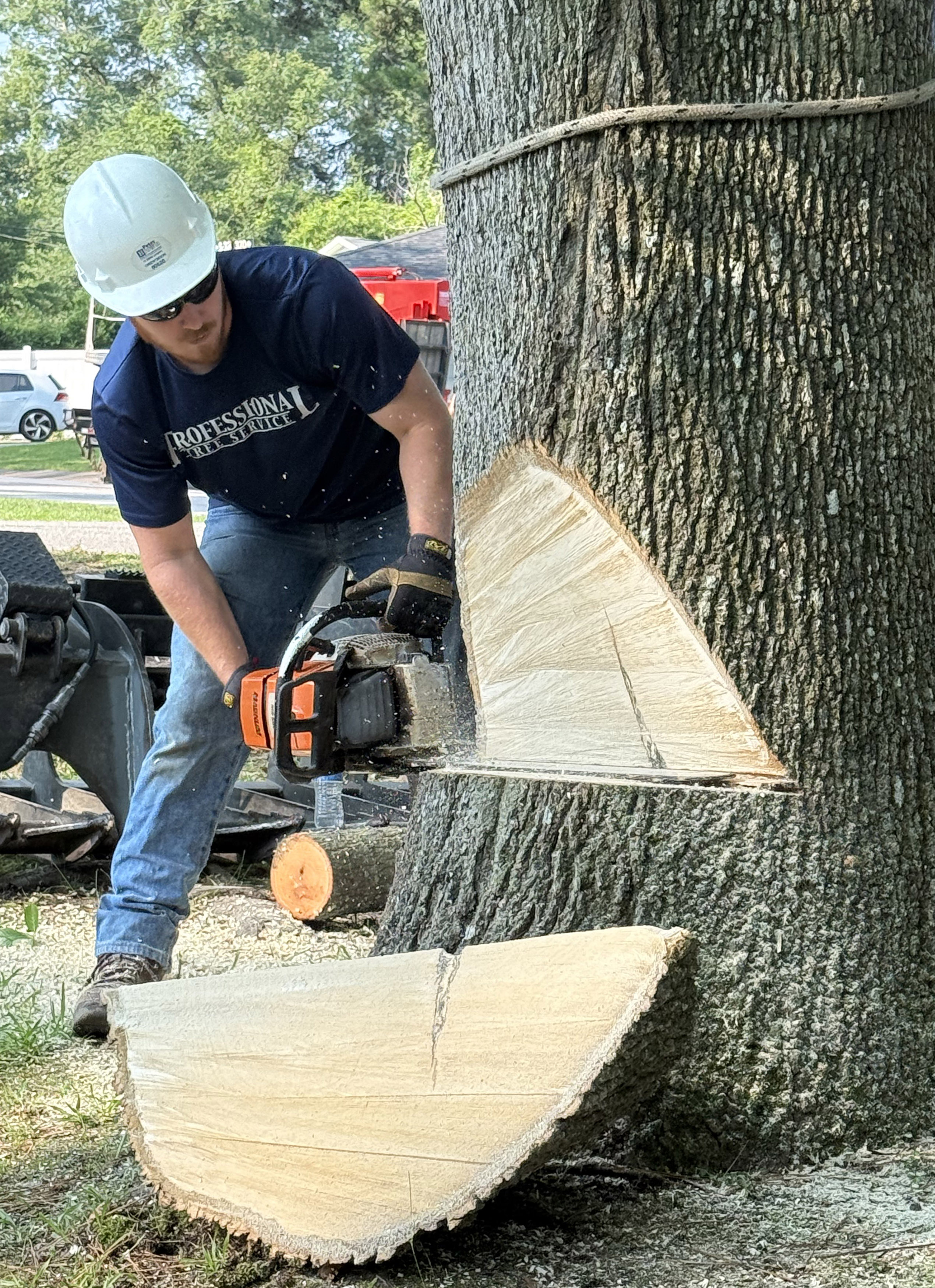 tree removal